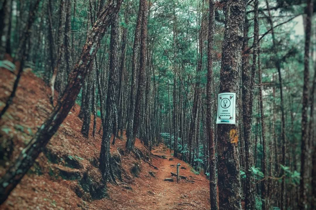 Curated partner stays in Baguio City recommended by Host and Horizon