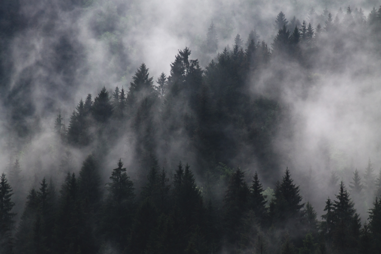 Misty forest landscape representing slow travel and peaceful vacation stays in Baguio